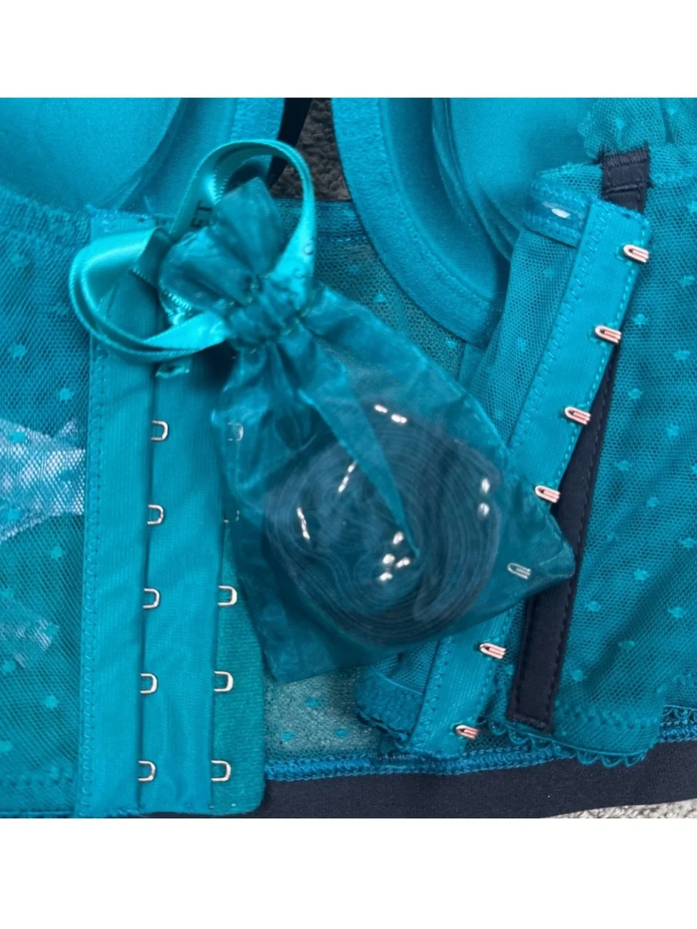Victoria's Secret Teal Mesh Longline Bustier with Velvet Bow